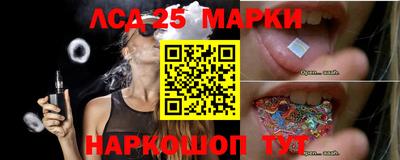 индика Гай