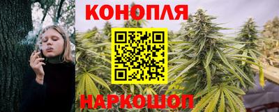 МДПВ Волжск