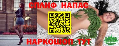 амф Гагарин
