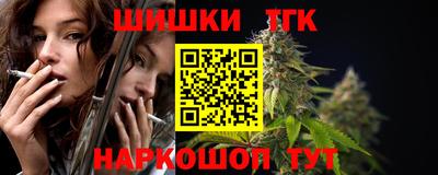 индика Гай