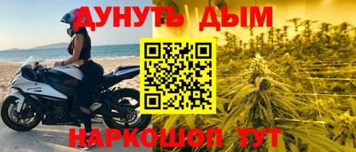 индика Гай