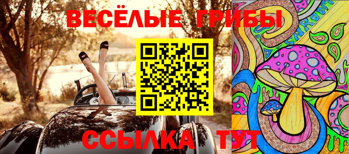 Богородск  Псилоцибиновые грибы Psilocybine cubensis  Галлюциногенные грибы Magic Shrooms  Вход с VPN 